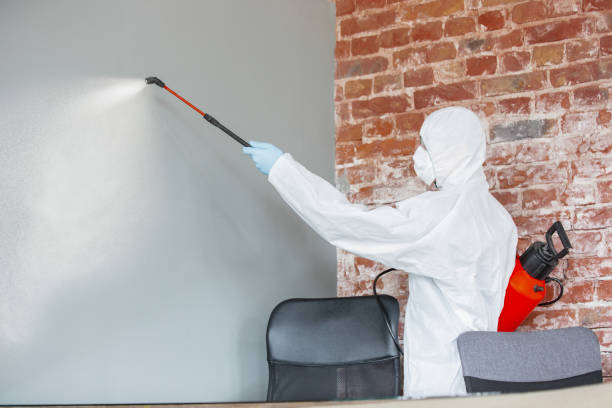 Best Forensic Mold Investigation  in Clinton, NC