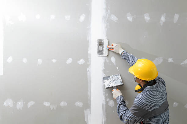 Best Attic Mold Removal  in Clinton, NC